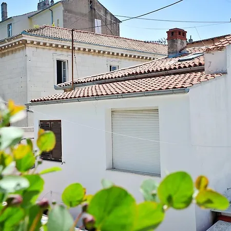 And Soul Of Dalmatia Affittacamere