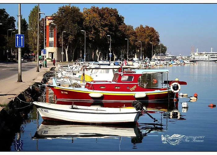 And Soul Of Dalmatia